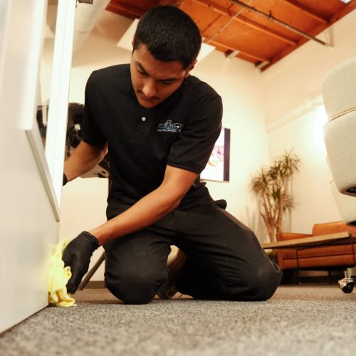 SkyView-Maintenance-02-1.jpeg